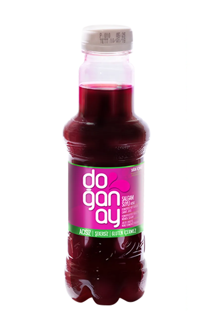 DOGANAY SALGAM HOT 1L